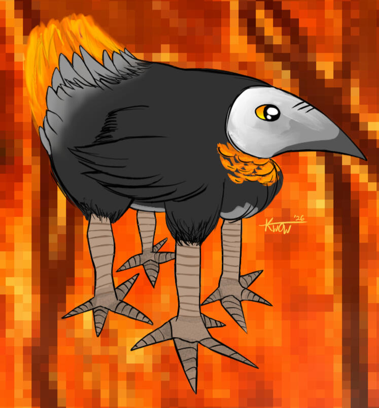 damn bird - raib1